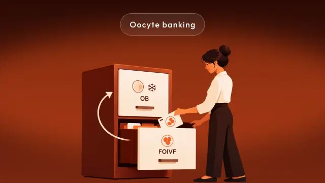 Diagram of an autologous oocyte banking journey in CARTR Plus, from the OB cycle to linked FOIVF and FET cycles